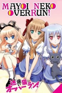 Mayoi Neko Overrun! Cover, Stream, TV-Serie Mayoi Neko Overrun!