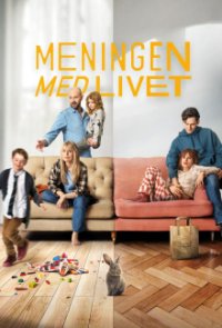 Cover Meaning of Life, Poster Meaning of Life, DVD