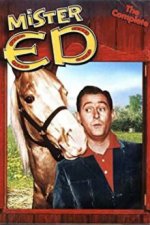 Cover Mr. Ed, Poster Mr. Ed