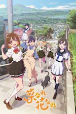 Staffel 1 Cover, Poster