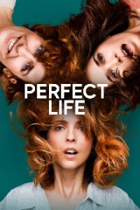 Perfect Life Cover, Poster, Blu-ray,  Bild