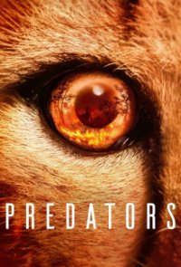 Predators - Jäger in Gefahr Cover, Poster, Predators - Jäger in Gefahr