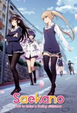 Cover Saenai Heroine no Sodatekata, Poster Saenai Heroine no Sodatekata