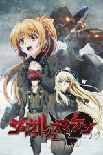 Cover Schwarzesmarken, Poster, Stream