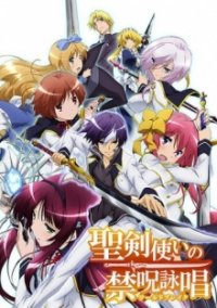 Cover Seiken Tsukai no World Break, TV-Serie, Poster