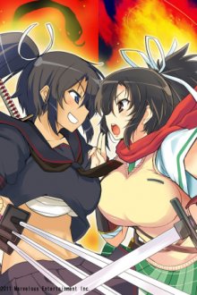 Senran Kagura Cover, Poster, Senran Kagura