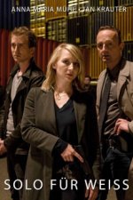 Staffel 1 Cover, Poster