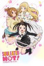 Cover Soul Eater Not!, Poster, Stream