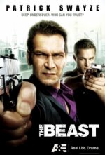 Cover The Beast, Poster, Stream