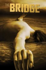 Cover The Bridge - America, Poster The Bridge - America