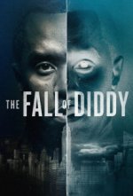 Cover The Fall of Diddy, Poster The Fall of Diddy