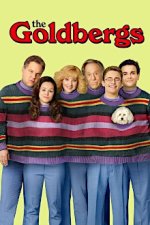 Cover Die Goldbergs, Poster, Stream