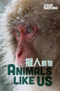 Poster, Tiere wie wir Serien Cover