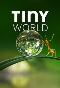 Cover Tiny World, Tiny World