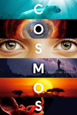 Cover Unser Kosmos: Die Reise geht weiter, Poster, Stream