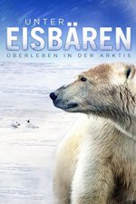 Cover Unter Eisbären - Überleben in der Arktis, Poster, Stream