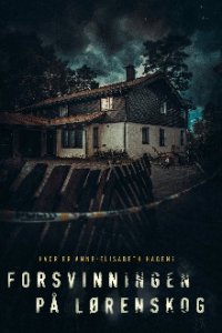 Verschwunden in Lorenskog Cover, Poster, Blu-ray,  Bild