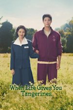 Cover When Life Gives You Tangerines, Poster, Stream