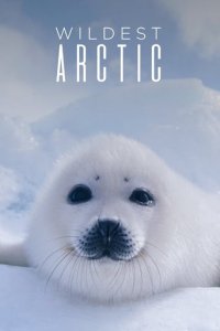 Cover Wilde Arktis, Wilde Arktis