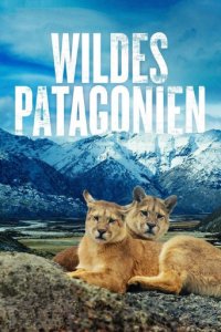 Cover Wildes Patagonien, Poster