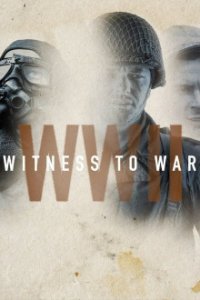 Cover WWII: Zeugen des Krieges, Poster