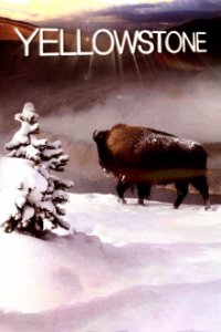 Cover Yellowstone Nationalpark, TV-Serie, Poster