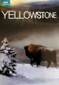 Yellowstone Nationalpark Cover, Poster, Yellowstone Nationalpark DVD