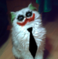 KillerCat Avatar, KillerCat Profilbild