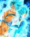 Saiyajin_ali_04 Avatar, Saiyajin_ali_04 Profilbild