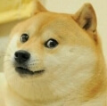 Watch_Doge Avatar, Watch_Doge Profilbild